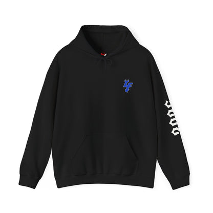 Coach Eze's Seek & Destroy Hoodie – Lake Fenton Wrestling Club